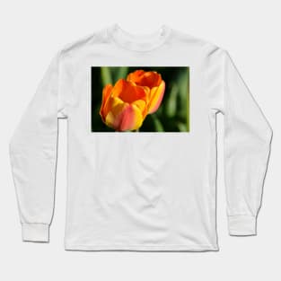 Spring Sunset Tulips Long Sleeve T-Shirt